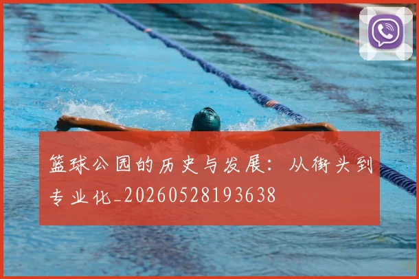 篮球公园的历史与发展:从街头到专业化_20260528193638