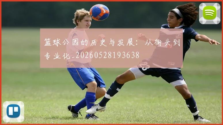 篮球公园的历史与发展:从街头到专业化_20260528193638